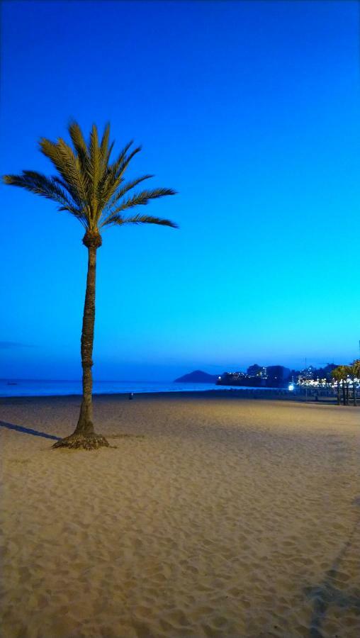 Best View - Welcome Penthouse Apartamentos Karola Benidorm Extérieur photo